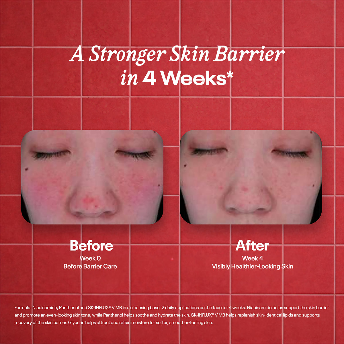 CeraBarrier Melt & Foam Cleanser