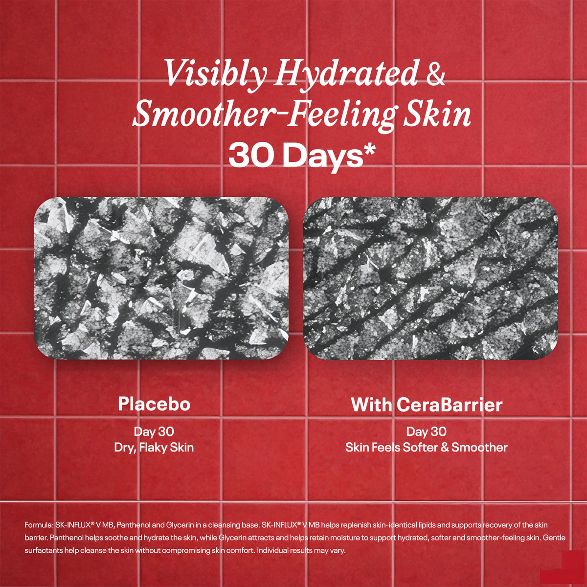 CeraBarrier Melt & Foam Cleanser